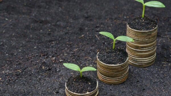 A group of coins with plants growing in them.